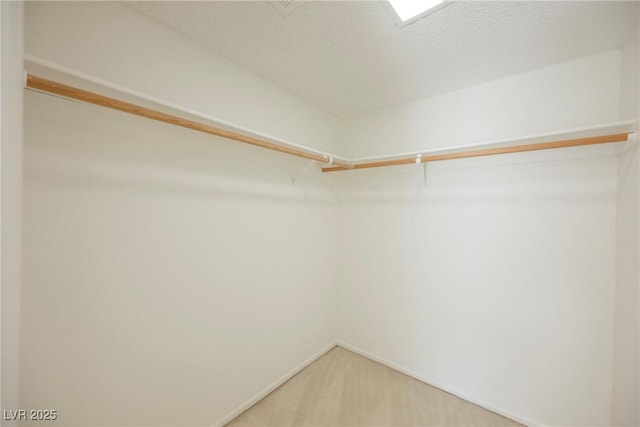 walk in closet featuring carpet floors