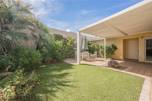 view of yard featuring a patio area