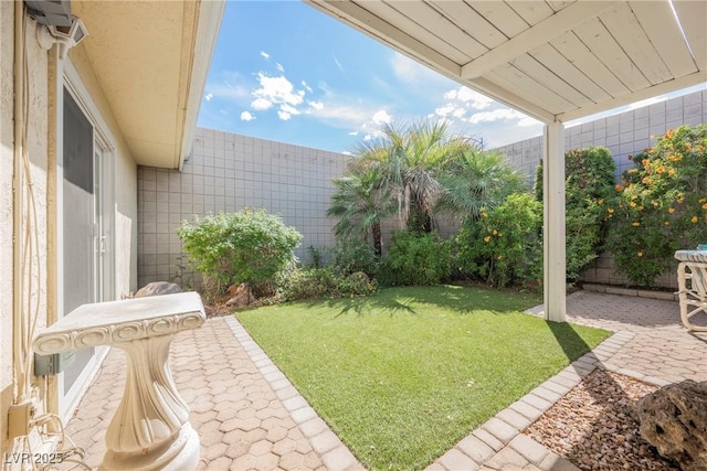 view of yard featuring a patio and a fenced backyard