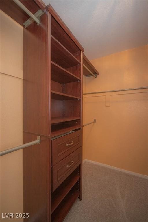 9323 W Rochelle Ave, Las Vegas, NV 89147 - spacious closet with carpet