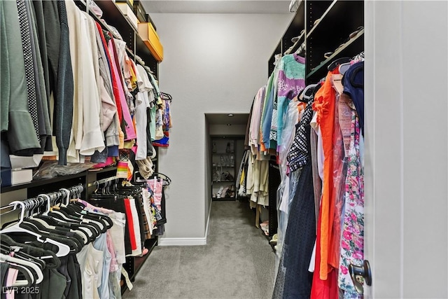 11834 Albissola Ave, Las Vegas, NV 89138 - walk in closet featuring carpet flooring