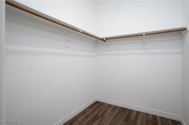 600 N Carriage Hill Dr Unit 2174, Las Vegas, NV 89138 - spacious closet with dark wood-style flooring