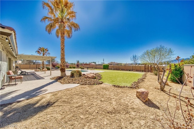 view of yard with a fenced backyard and a patio