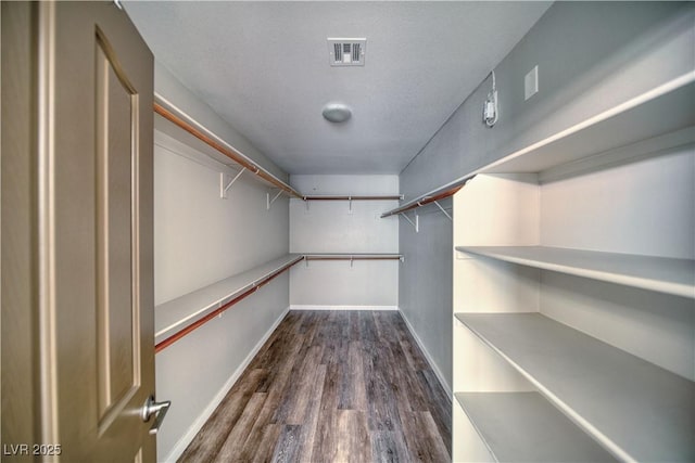 1131 China St, Pahrump, NV 89048 - walk in closet with dark wood finished floors