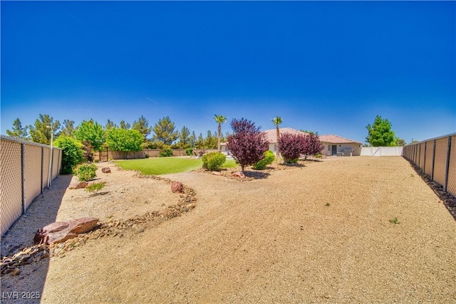 1131 China St, Pahrump, NV 89048 - view of fenced backyard