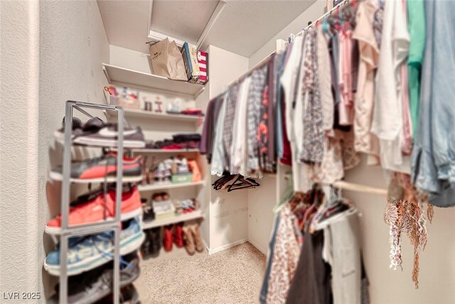 walk in closet featuring carpet