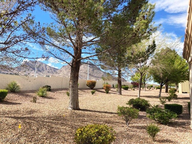 view of yard featuring a fenced backyard and a mountain view