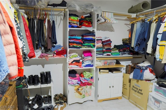 view of spacious closet