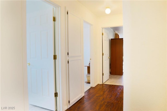 hall featuring dark wood-type flooring