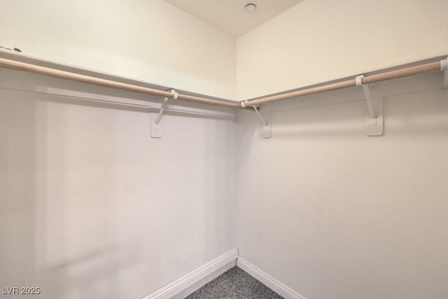 4516 Townwall St, Las Vegas, NV 89115 - spacious closet with carpet