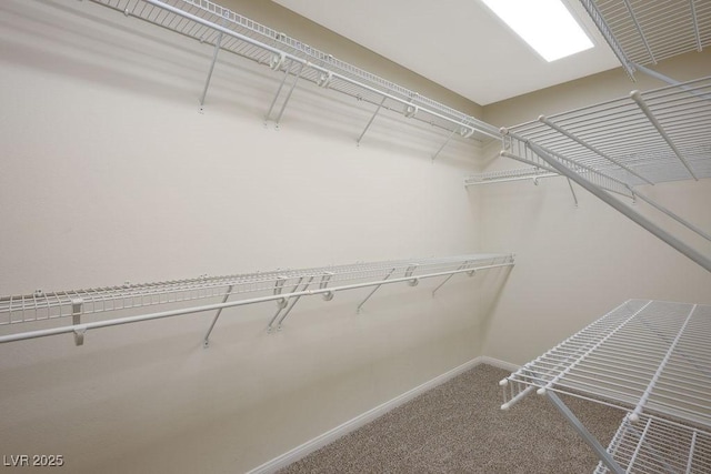 506 Staghorn Pass Ave, Las Vegas, NV 89183 - spacious closet with carpet floors