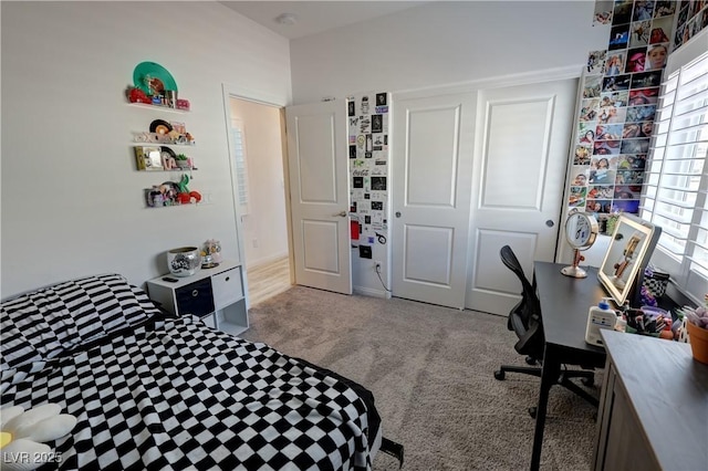 bedroom with a closet and carpet