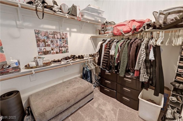 walk in closet featuring carpet