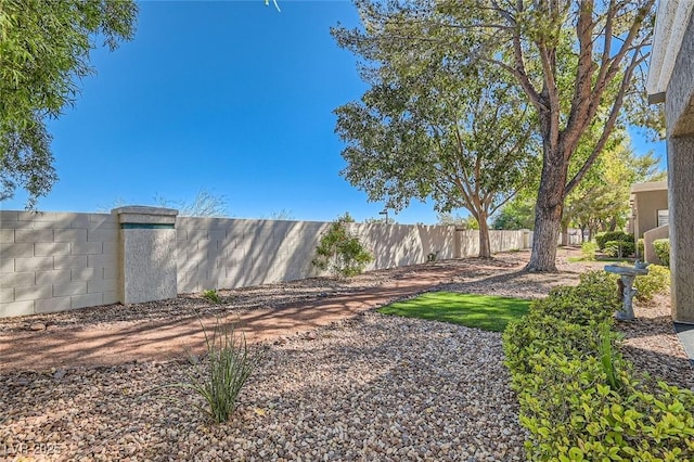 8628 Desert Holly Dr, Las Vegas, NV 89134 - view of yard with fence