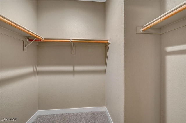 spacious closet with carpet floors