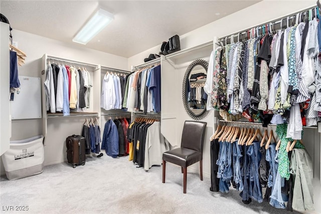 spacious closet featuring carpet