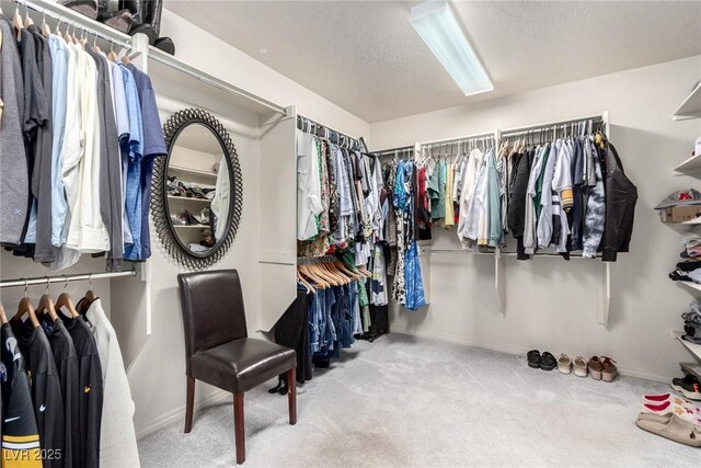 walk in closet with carpet flooring