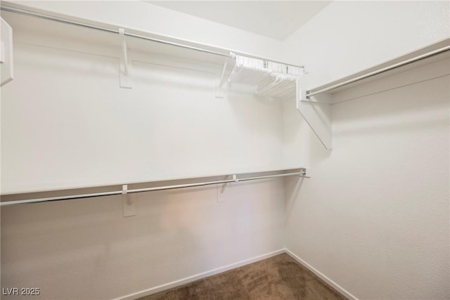 7649 Calico Fields St, Las Vegas, NV 89149 - walk in closet with carpet flooring