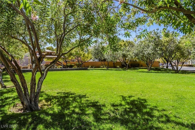 7649 Calico Fields St, Las Vegas, NV 89149 - view of yard