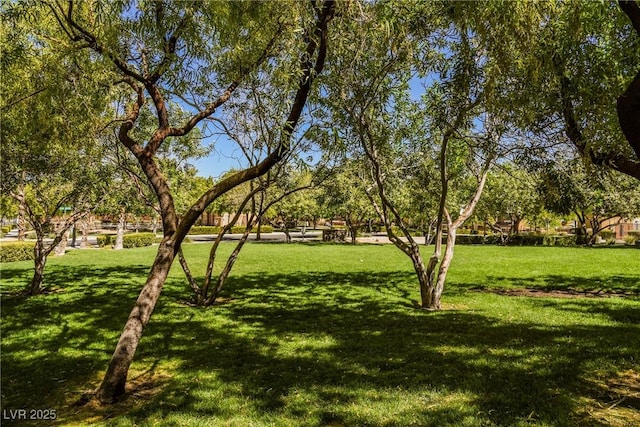 7649 Calico Fields St, Las Vegas, NV 89149 - view of community with a yard