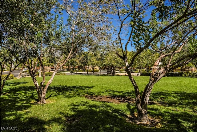 7649 Calico Fields St, Las Vegas, NV 89149 - surrounding community with a yard