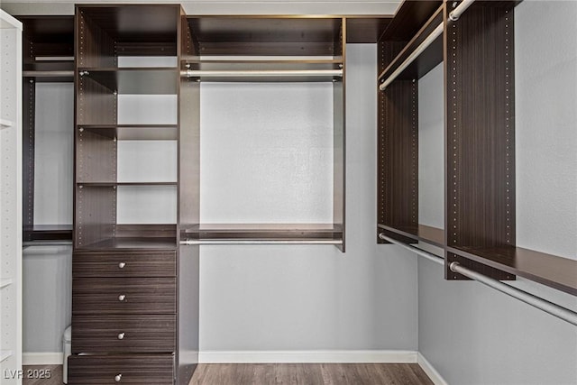 spacious closet featuring wood finished floors