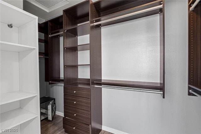 spacious closet with wood finished floors