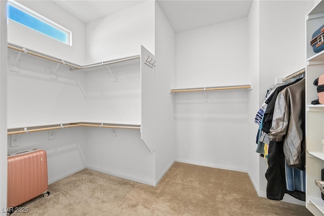 10196 Millholm Ave, Las Vegas, NV 89166 - photo 22