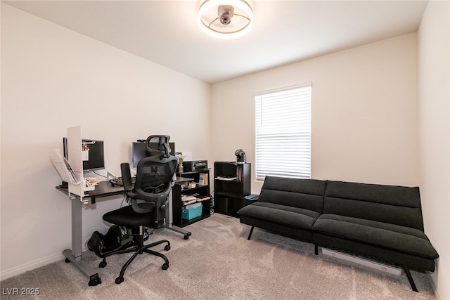 office area featuring carpet