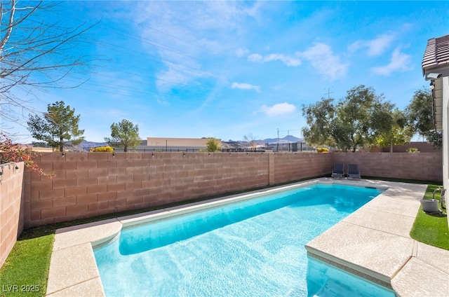 view of swimming pool with a fenced in pool and a fenced backyard