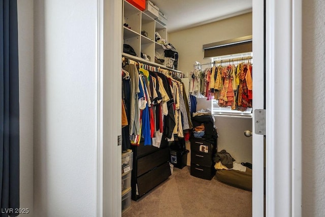spacious closet with carpet floors