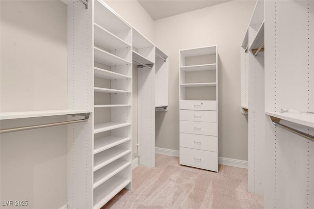 2290 Casa Bella Ct, Las Vegas, NV 89117 - spacious closet with carpet