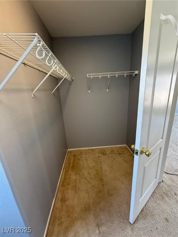 8089 Windmill Villa St, Las Vegas, NV 89139 - walk in closet with carpet