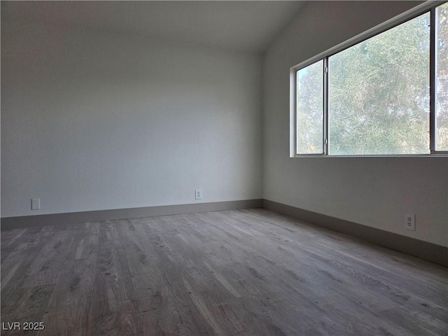 spare room with a wealth of natural light, baseboards, and wood finished floors