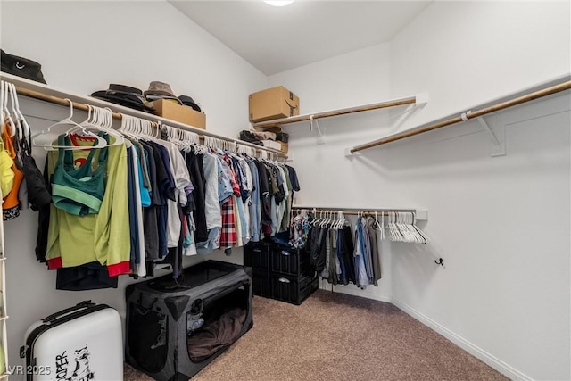 spacious closet with carpet flooring