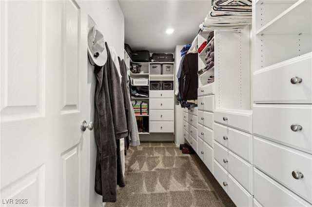 walk in closet with dark colored carpet