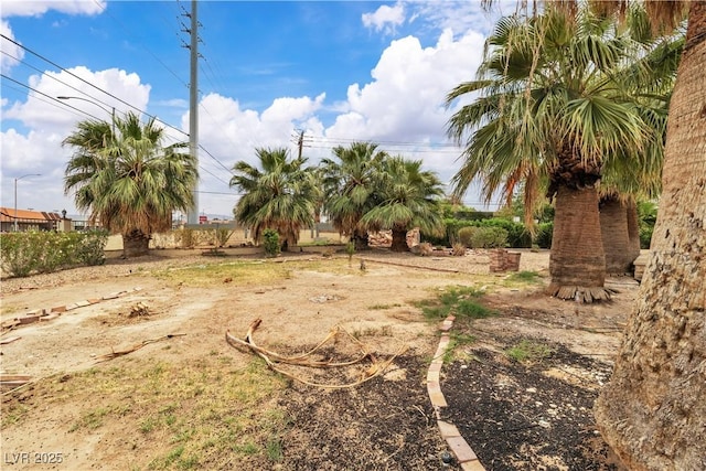4678 Saddle Pl, Las Vegas, NV 89119 - view of yard