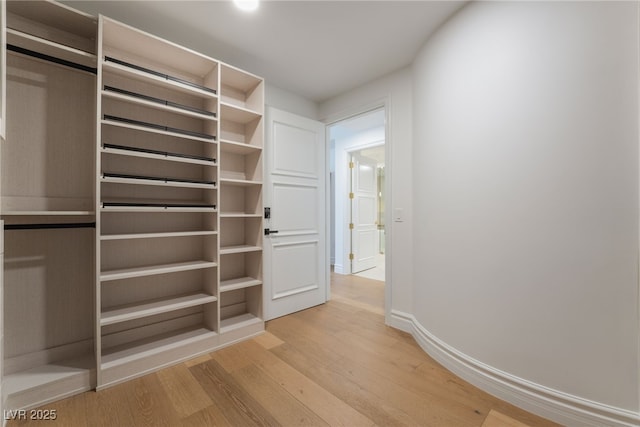 spacious closet featuring light wood-type flooring