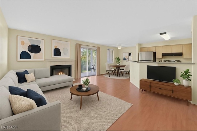 7901 Idledale Ct Unit 102, Las Vegas, NV 89145 - living room with light wood-type flooring and a fireplace