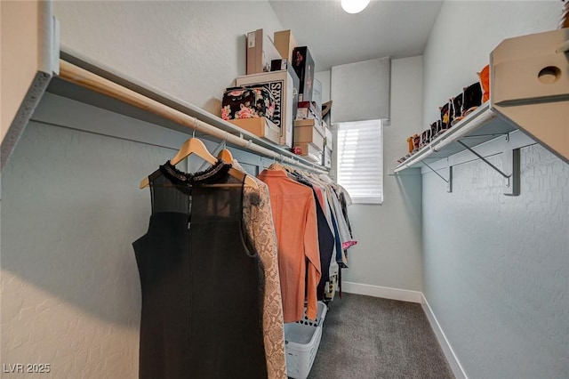 10840 Rosin Jaw St, Las Vegas, NV 89183 - walk in closet with carpet