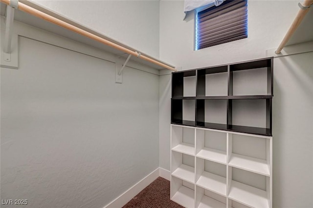 10840 Rosin Jaw St, Las Vegas, NV 89183 - walk in closet featuring carpet