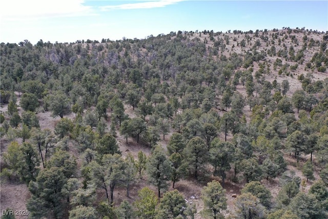 0 Pinion Pne, Pioche, NV 89043