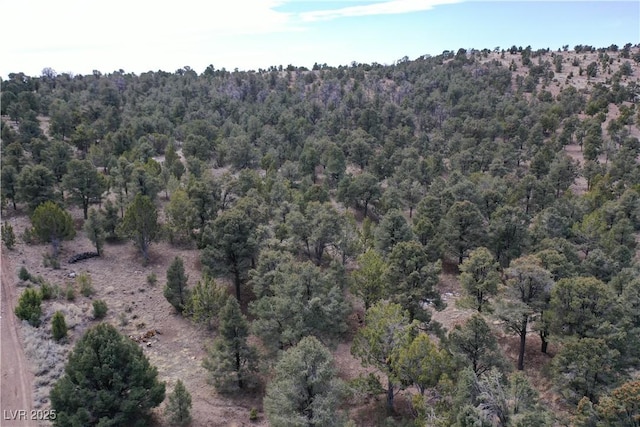 0 Pinion Pne, Pioche, NV 89043
