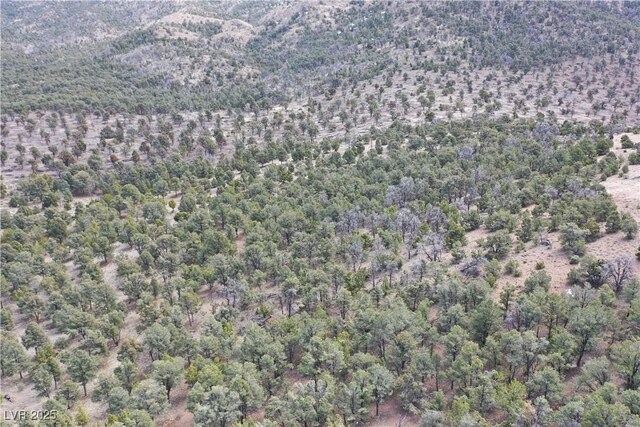 0 Pinion Pne, Pioche, NV 89043