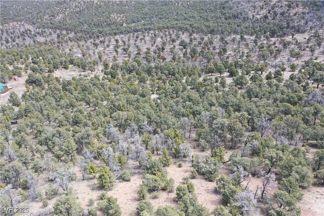 0 Pinion Pne, Pioche, NV 89043