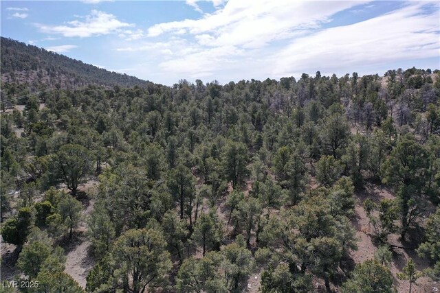 0 Pinion Pne, Pioche, NV 89043