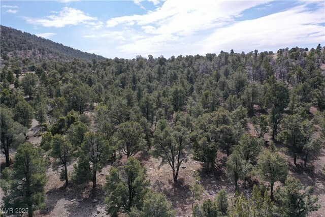 0 Pinion Pne, Pioche, NV 89043