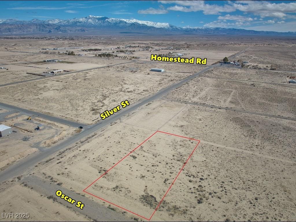 10041 S Oscar St, Pahrump, NV 89048