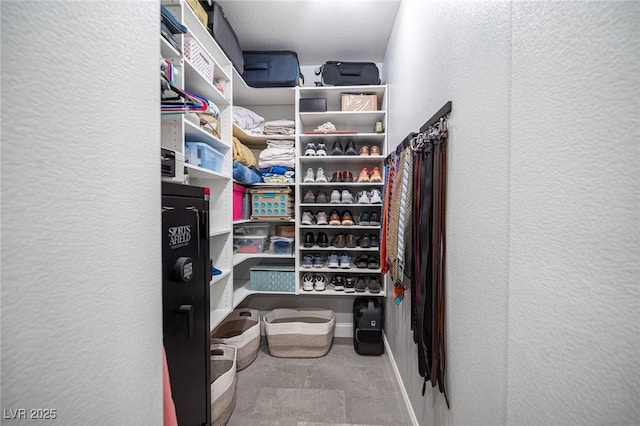 5815 Pristine Falls Ave, Las Vegas, NV 89131 - view of spacious closet