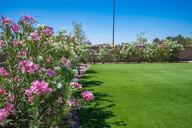 5815 Pristine Falls Ave, Las Vegas, NV 89131 - view of yard